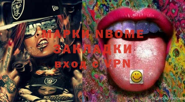 дживик Бородино