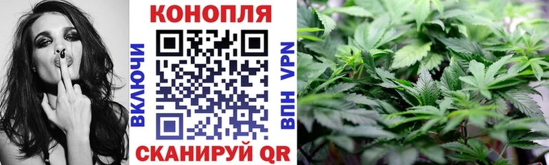 цена   Ярославль  Шишки марихуана планчик 